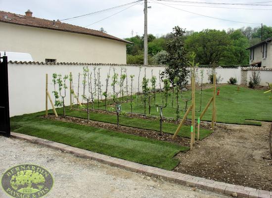 Gazon en placage avec arrosage automatique