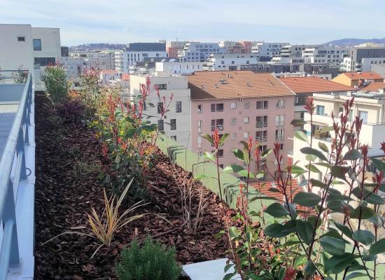 Plantation en jardinière toit terrasse Lyon