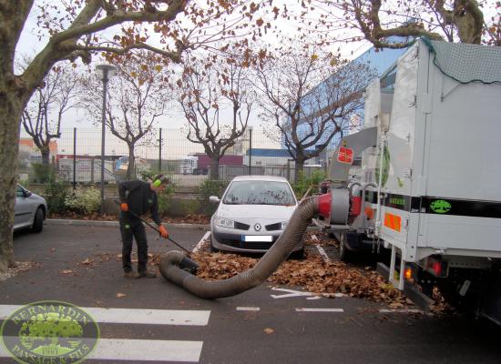 Ramassage feuilles