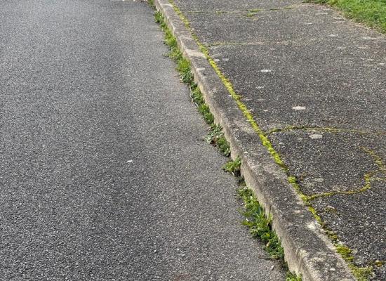 Désherbage bordures lotissement