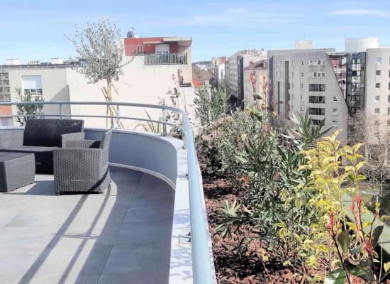 Plantation en jardinière toit terrasse Lyon